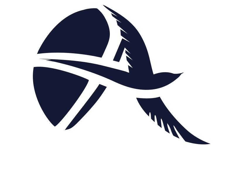 آریسا پرواز پارسه